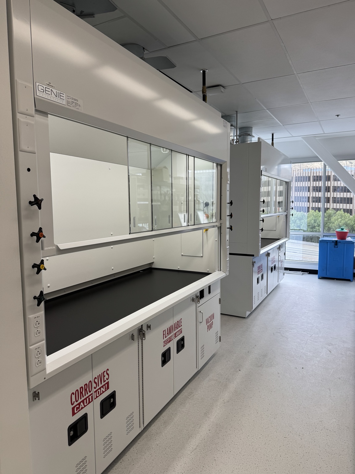 Corvus Pharmaceuticals interior